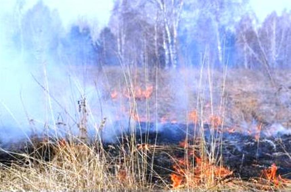 В западных, центральных и южных районах Иркутской области особый противопожарный режим продлен до 1 июля