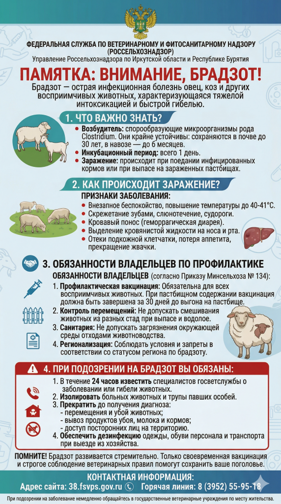 Братзод.png Братзод.png
