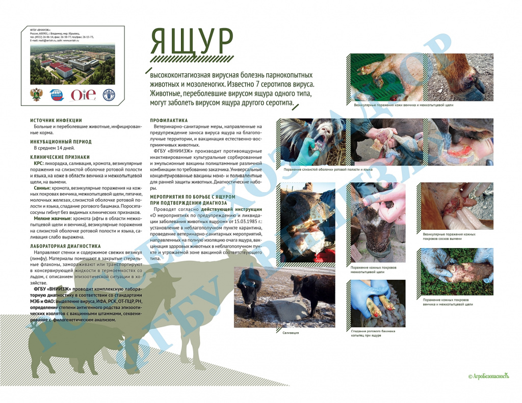 Памятка iac_public_yashur_page-0001.jpg Памятка iac_public_yashur_page-0001.jpg